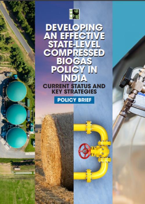 Developing an Effective State-Level Compressed Biogas Policy in India ...