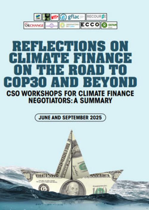 Reflections on Climate Finance on the Road to COP30 and Beyond