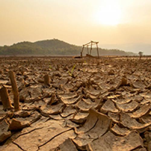 सूखे की रिपोर्टिंग कैसे करें?