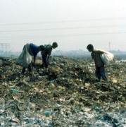 garbage 7