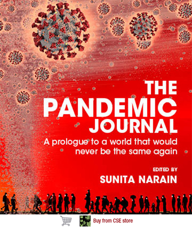 The Pandemic Journal