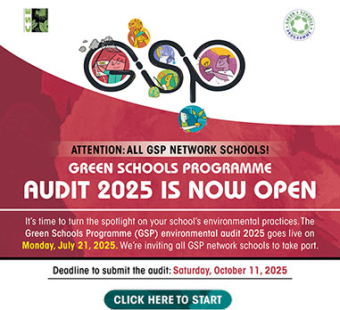 GSP Audit 2025 for Schools