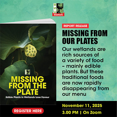 Missing from our Plates
