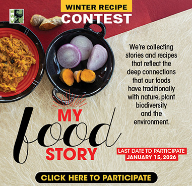 Discussing the Proceedings in Belem